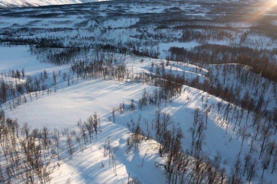 Breivikeidet: Cross-Country Skiing & Husky Visit - Your First-Ski Lesson: Falling Is Part of the Plan