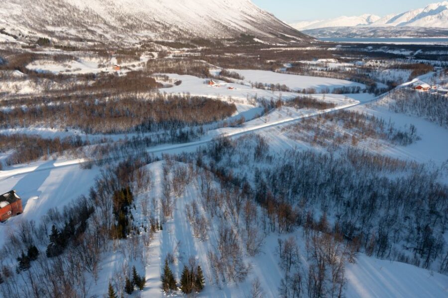 Breivikeidet: Cross-Country Skiing & Husky Visit - Price and Value: Is $145 Fair for Tromsø Winter?