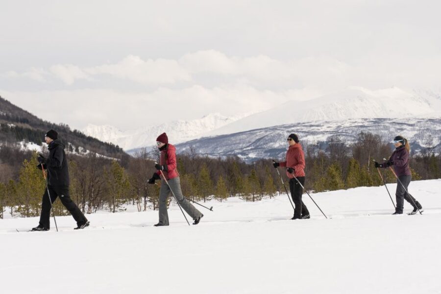 Breivikeidet: Cross-Country Skiing & Husky Visit - Practical Tips for Staying Comfortable in Tromsø’s Cold