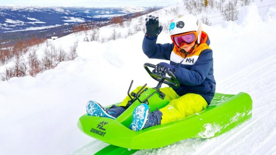 Dagali: 2-Hour Racing Toboggan Adventure - The steerable sled: control at speed (up to 70 km/h)