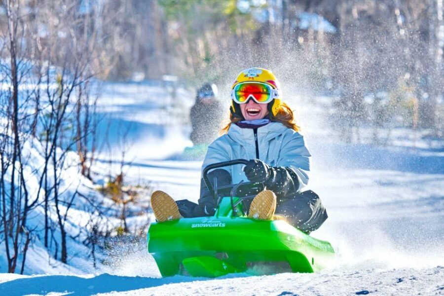 Dagali: 2-Hour Racing Toboggan Adventure - Who this sled run suits best (and who should skip)