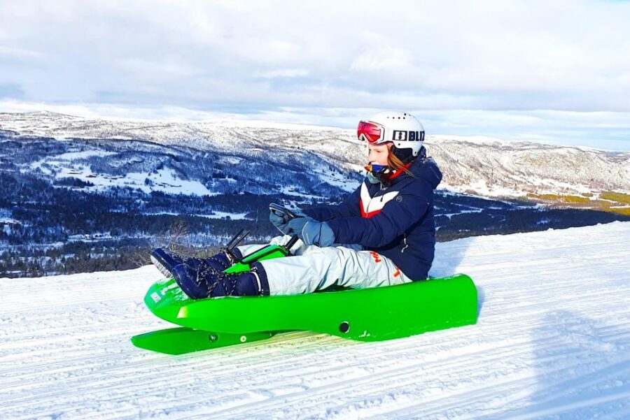 Dagali: 2-Hour Racing Toboggan Adventure - Price check: is $48 per person good value?