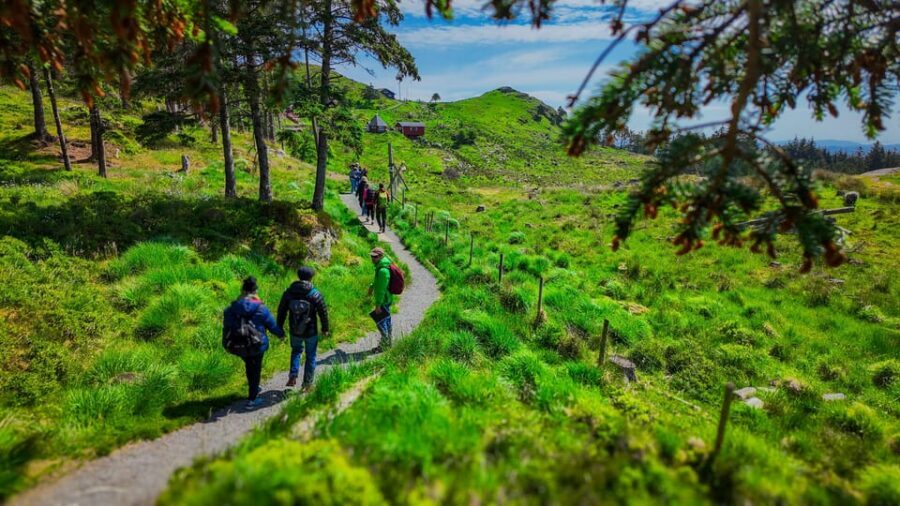 Discover Haugesund and visit a local mountain farmer - Meeting the Mountain Farmer: WWII Stories and the Sheep Call