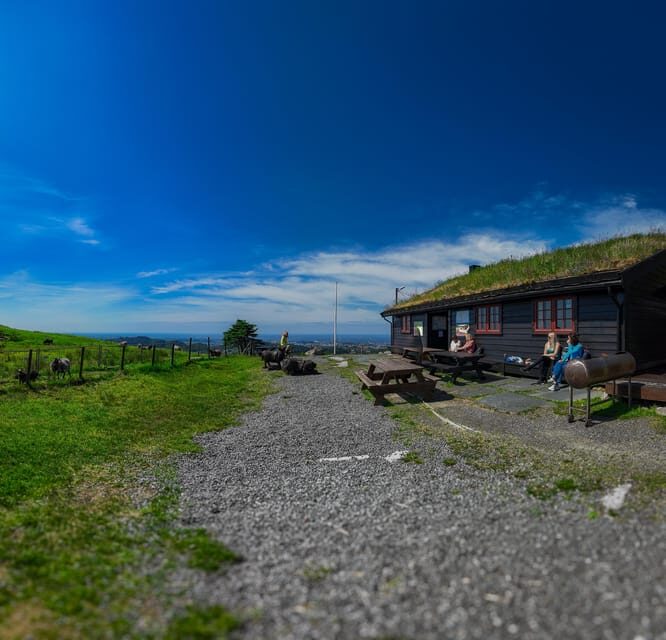 Discover Haugesund and visit a local mountain farmer - Kringsjå Farm: The Short Hike That Feels Like a Visit