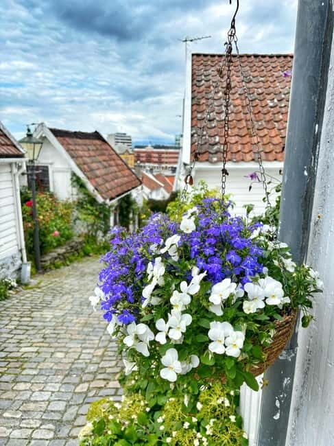Discover Private+ Stavanger Guided City Tour - Meeting at Nedre Strandgate 62 (especially if you’re in port)