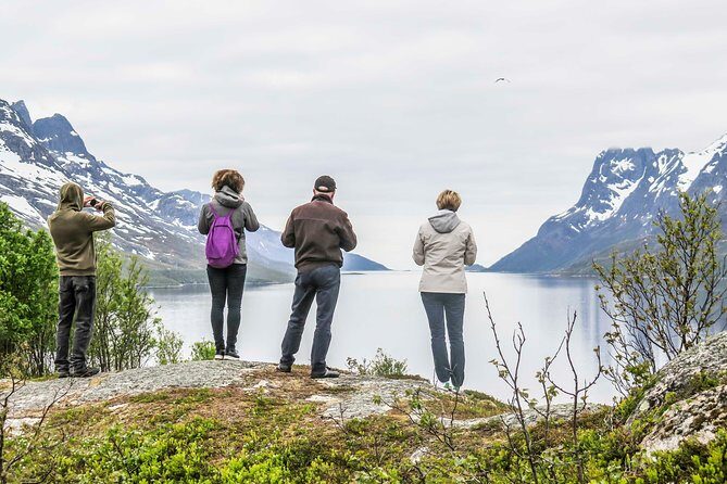 Discover the Fjords of Kvaloya - a roadtrip along fjords and fishing villages - Fjords of Kvaløya From Tromsø: What This Trip Feels Like