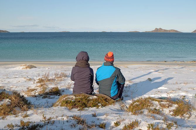 Discover the Fjords of Kvaloya - a roadtrip along fjords and fishing villages - Wildlife Moments: What You Might See (and How to Prepare)