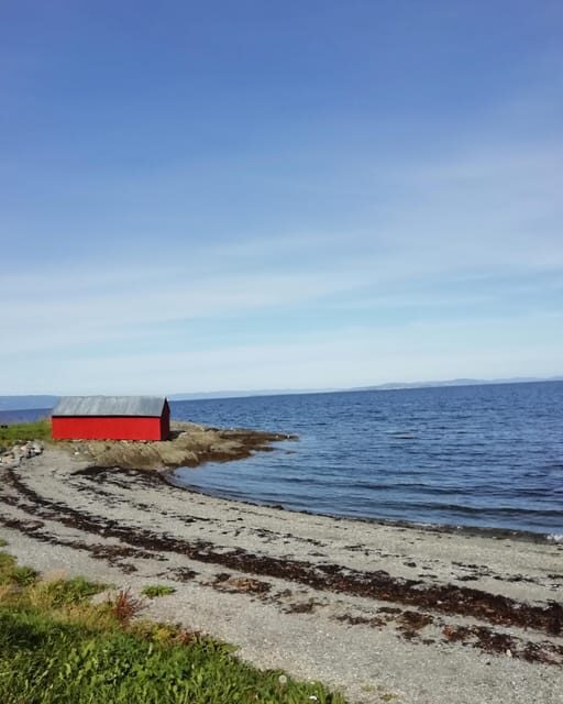 Discovery hike along the Trondheimsfjord - Key highlights to look forward to