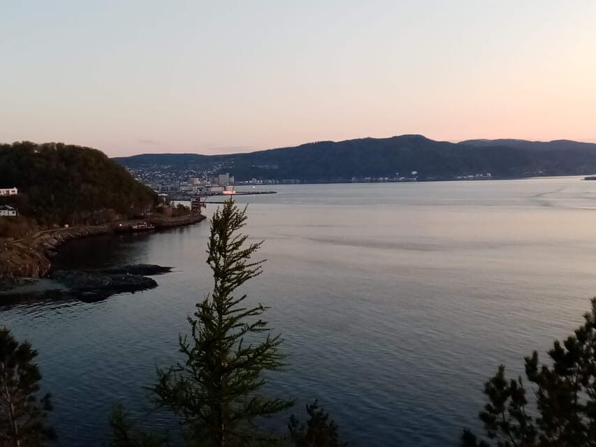 Discovery hike along the Trondheimsfjord - Stop-by-stop on Ladestien: Korsvika to the WWII bunker