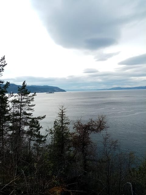 Discovery hike along the Trondheimsfjord - Getting the most out of the 2.5 hours