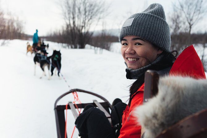 Dog Sled Tour and Husky Cuddles - Alta’s 9:00 Meeting Point and What Happens First