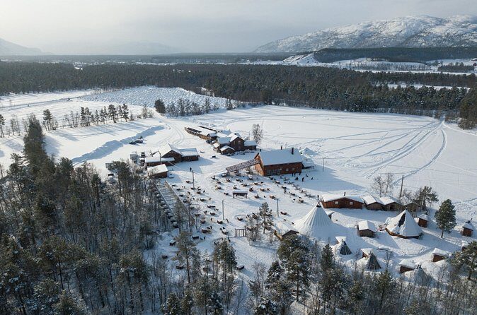 Dog Sled Tour and Husky Cuddles - Who This Tour Fits Best (And Who Might Want to Rethink It)