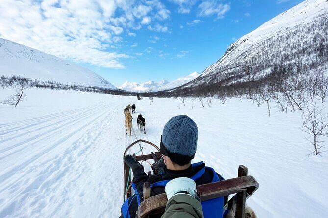 Dog Sledding: A Self-Drive Arctic Experience from Tromsø - Key Things You’ll Notice on This Husky Safari