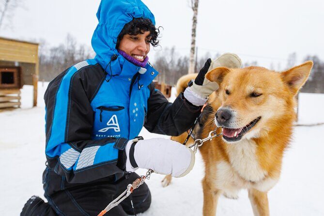 Dog Sledding: A Self-Drive Arctic Experience from Tromsø - The Ride Itself Near Breivikeidet: Time, Turns, and That Clean Cold Air