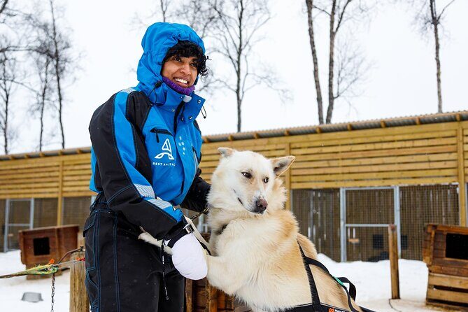 Dog Sledding: A Self-Drive Arctic Experience from Tromsø - Safety Reality Check: What to Watch and How to Stay Confident
