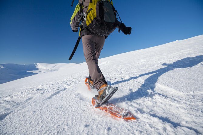 Eco friendly snowshoeing in Scenic Landscape - Tromsø snowshoeing feels easier with panoramic TeslaX time