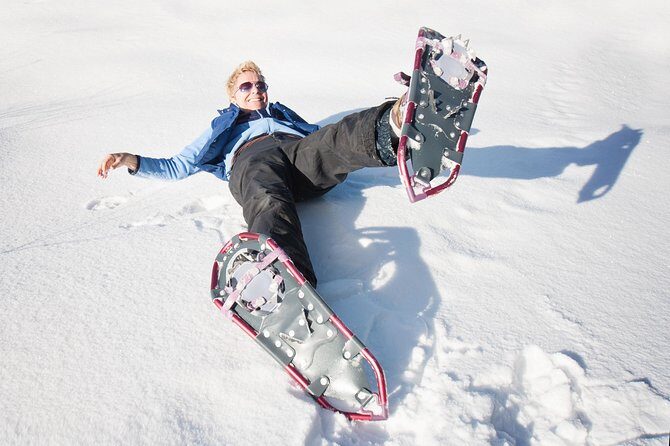 Eco friendly snowshoeing in Scenic Landscape - Polaria: warming up with sea-life before your snowshoe walk