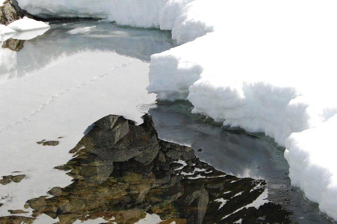 Eco friendly snowshoeing in Scenic Landscape - Polar Museum adds meaning, not just more stops