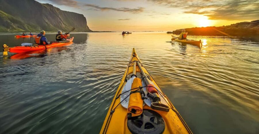 Eggum: Lofoten Islands Midnight Sun Kayak Tour - Wildlife and seabirds: watching from a safe distance