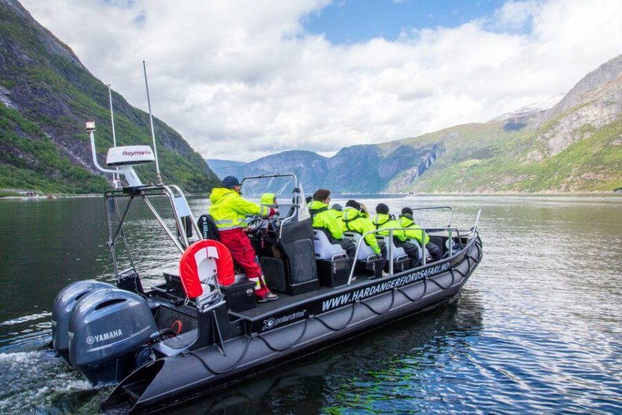 Eidfjord: 1-Hour Fjord RIB Tour - Goats at the boat and seals on land or in the sea