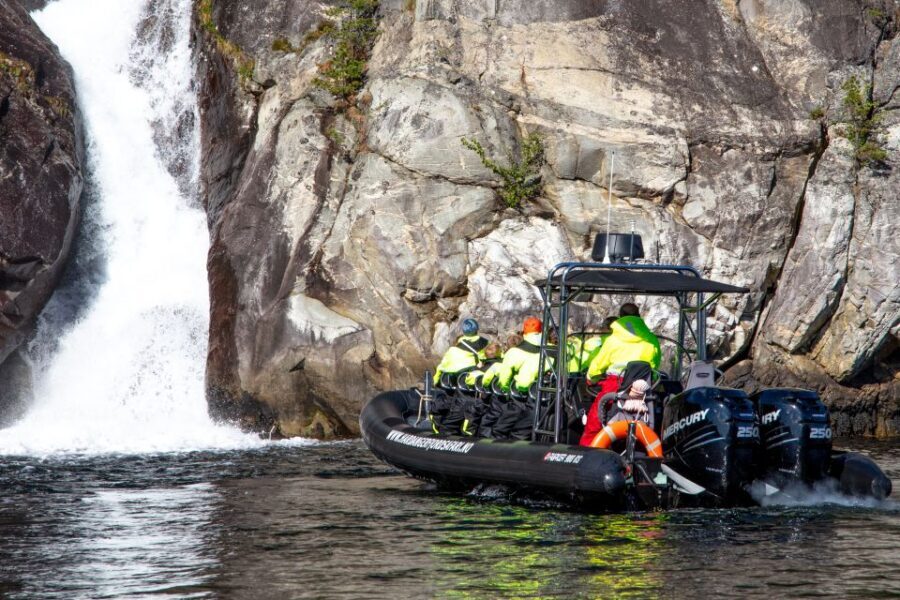 Eidfjord: 1-Hour Fjord RIB Tour - Wildlife spotting: seabirds, seals, eagles, and the thrill factor