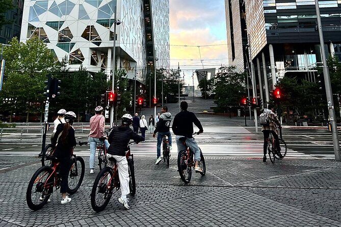 El-bike Rentals By The Oslo Tour - Key highlights worth planning around