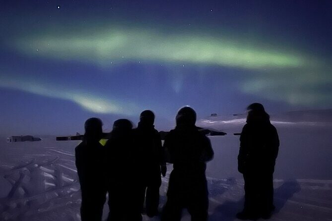 Evening Tour and Aurora Borealis Sightseeing in Norway by ATV - The ATV Portion: Gear, Safety, and How to Avoid Cold-Finger Regret
