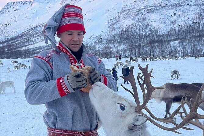 Exclusive Reindeers Experience in small groups, Tromso - Trying the antler lasso: a cool cultural touch