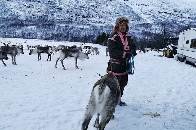 Exclusive Reindeers Experience in small groups, Tromso - What about bathrooms and comfort in the snow?