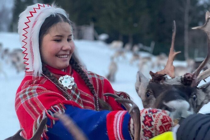 Exclusive Reindeers Experience in small groups, Tromso - Price and value: what $178.03 really covers