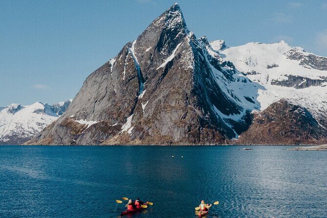 Explore Reinefjord by kayak (3 hours) - Key things that make this kayak outing worth it