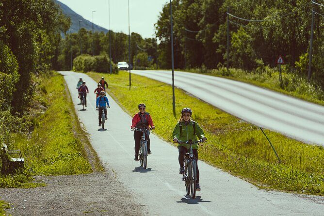 Explore Tromso by E-bike - Guided Ride on Electric Bike in Tromso - Stop 3: Tromso Botaniske Hage—Arctic-Alpine Plants in a Calm Pocket
