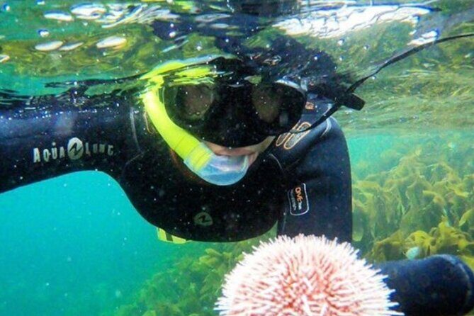 Family Snorkeling Tour - Key things I’d focus on before you go