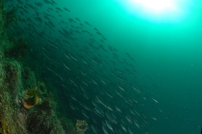 Family Snorkeling Tour - Time and pacing: a 3-hour outing that won’t drain the whole day
