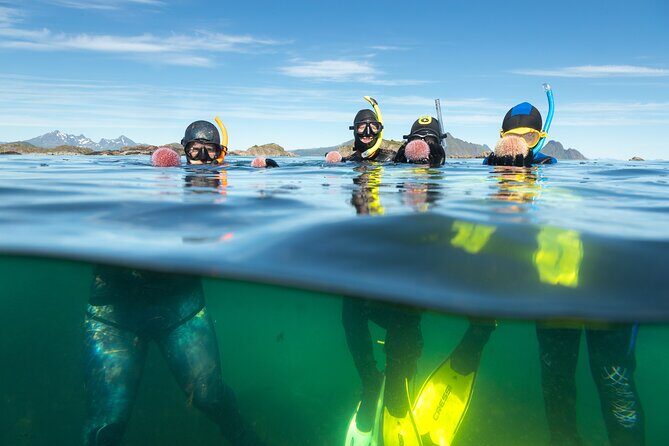 Family Snorkeling Tour - Gear setup: included snorkeling equipment and first-timer comfort