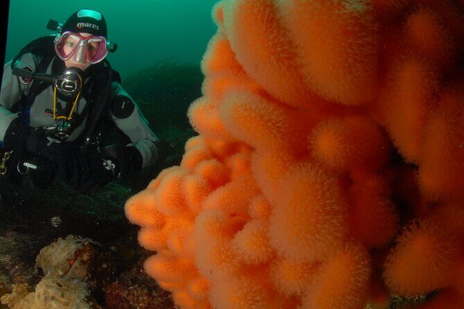First Time Diver Scuba Experience - Group size, instructor ratio, and safety in plain English