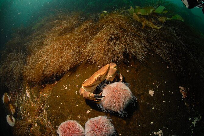 First Time Diver Scuba Experience - Practical tips before you go (so you get the fun part)