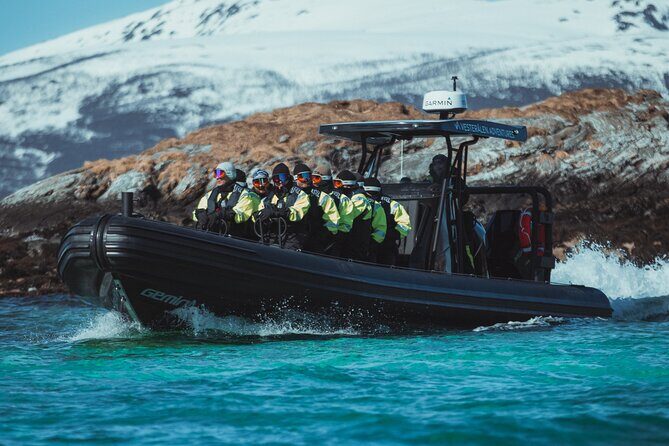 Fjord and Sea Eagle Safari from Sortland - Meeting at Havnegata 3 and starting around 10:00
