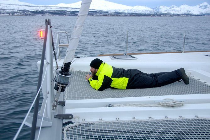 Fjord Cruise with Luxury Catamaran in Tromso - Skipper Per and the small-group feel that makes it personal
