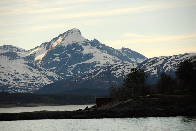 Fjord Cruise with Luxury Catamaran in Tromso - Fishing energy on board: cod, sea time, and the warm fish soup payoff