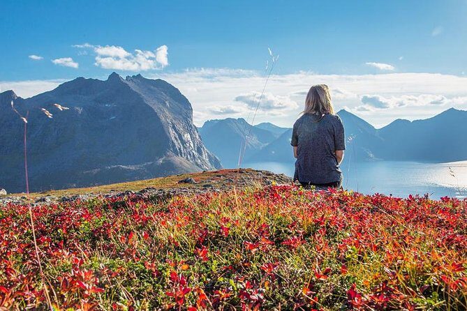 Fjord Expedition: Arctic Adventure Awaits - Small-Group Energy: When Up to 15 Guests Feels Like a Personal Tour