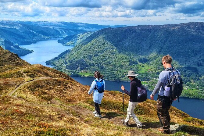 Fjord Hiking - Private tour - The Hike Itself: Terrain, Timing, and What 300–400m Feels Like