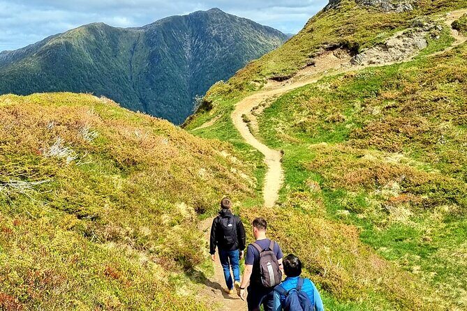 Fjord Hiking - Public tour - The Norwegian Snack Break: Small, Local, and Surprisingly Satisfying