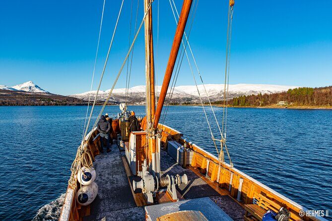Fjord & History Cruise - Hermes II onboard: warmth, comfort, and real attention