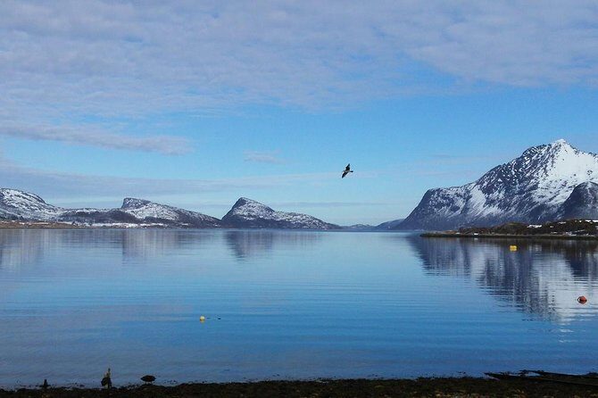 Fjord, Mountain and Wildlife Tour - Fjord Views Without the Driving Headache