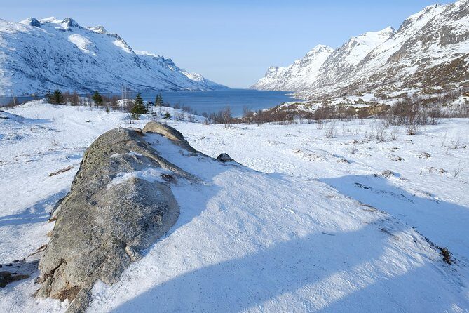 Fjord, Mountain and Wildlife Tour - Warm Thermal Suites and Winter Gear That Actually Matters