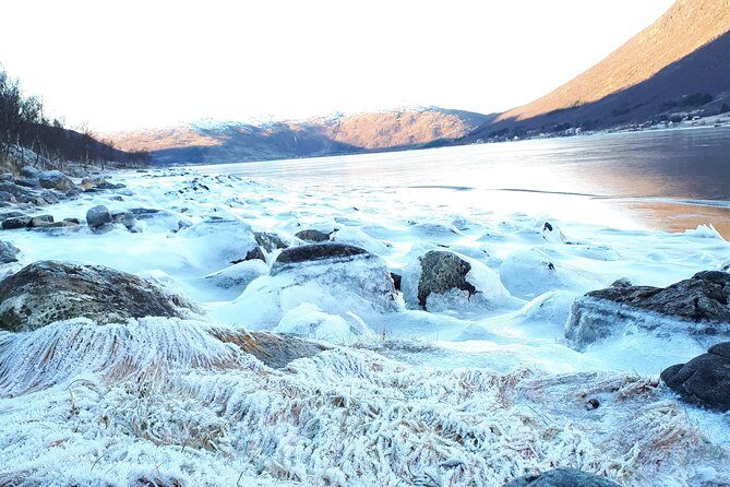 Fjord, Mountain and Wildlife Tour - Grøtfjord Village and the Fjord: Where the Coast Feels Real