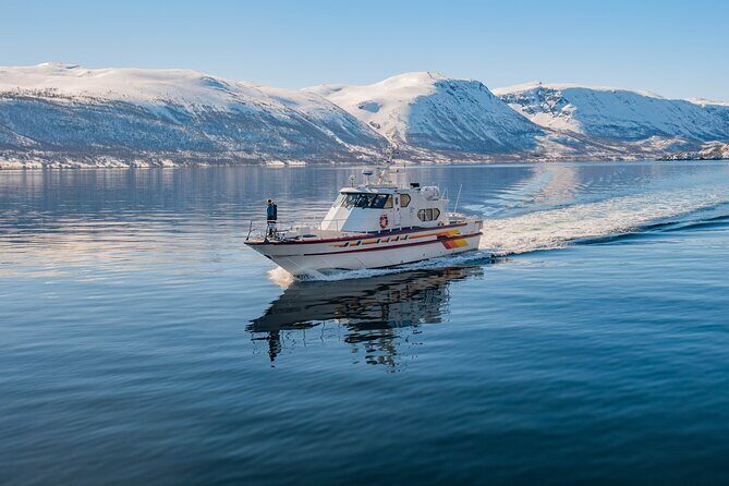 Fjord Safari in the Altafjord - Isnestoften and the village-edge perspective