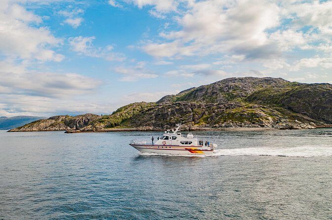 Fjord Safari in the Altafjord - Wildlife spotting: what to look for on a Finnmark fjord cruise