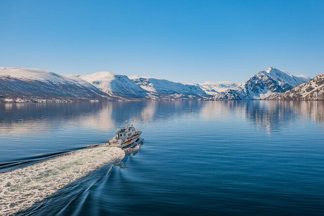 Fjord Safari in the Altafjord - From Havneveien 24 to a warm start on the water